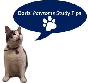 Boris's Top 10 AAT Study Tips