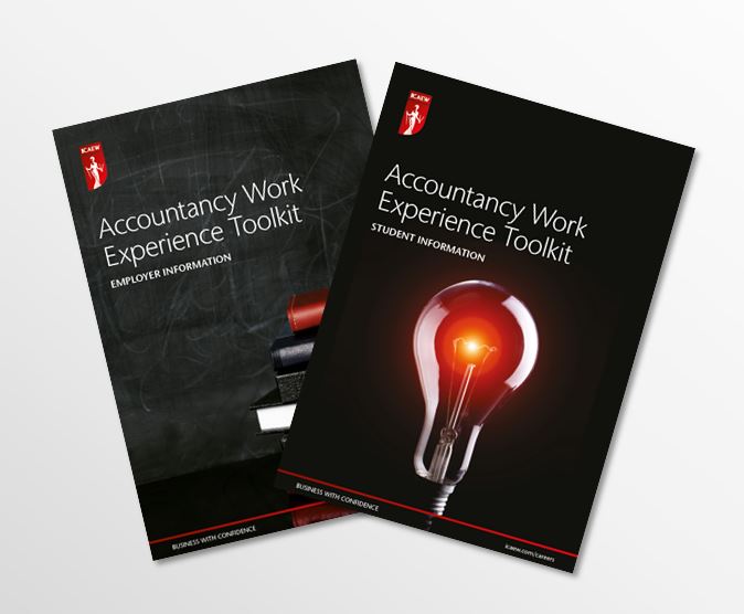 ICAEW Schools Work Experience Toolkits