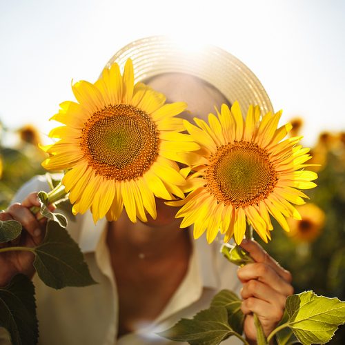 Beauty Joyful Young Woman With Sunflowers Enjoying Nature And La